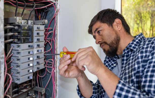 Best Local Electrician Companies  in Ruskin, FL